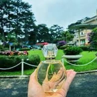 Nước hoa Charme Nữ - Vanitas 30ml