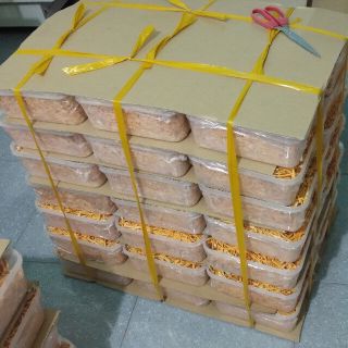 Đông Trùng Hạ Thảo ĐQP