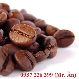 Cà phê Robusta giá sỉ