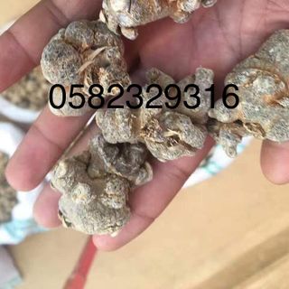 Củ Tam Thất Bắc