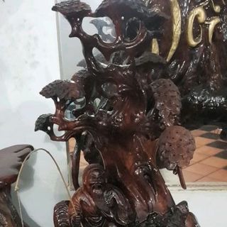 khuong tu nha ca chep hoa rong