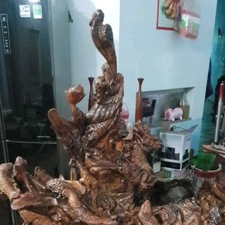 khuong tu nha ca chep hoa rong