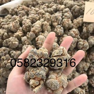 Bột Tam Thất Bắc