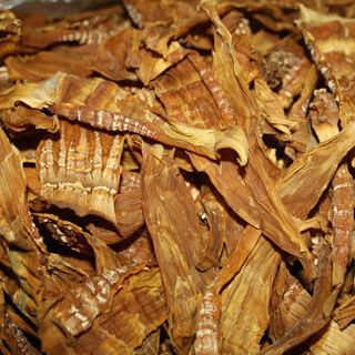 Măng nứa rừng