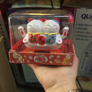 Mèo cặp may mắn