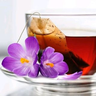 Trà saffron túi lọc