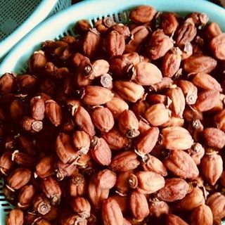 Hồng treo gió Đàlat