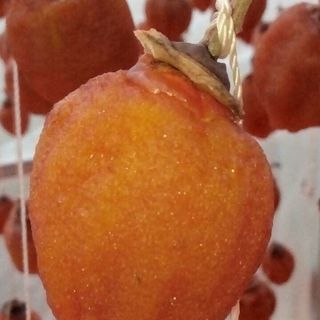 Hồng treo gió Đàlat