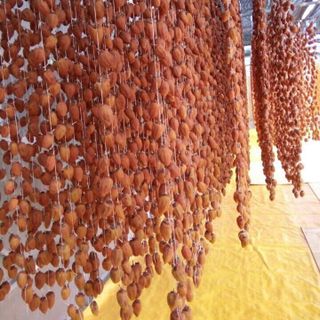 Hồng treo gió Đàlat