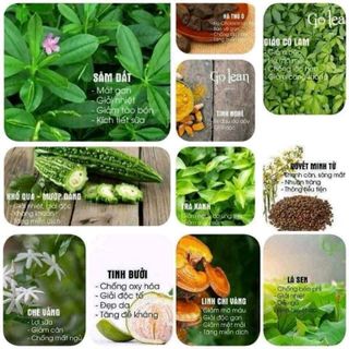 TRÀ THẢO MỘC GIẢM CÂN GOLEAN