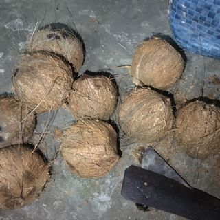 Dầu dừa nguyên chất 100 không hóa chất