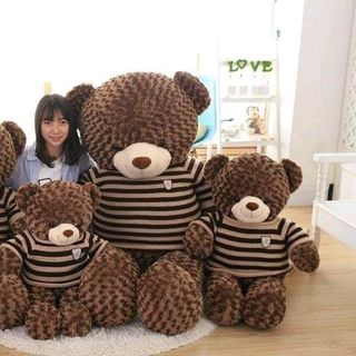 Gấu bông Teddy áo len khổ vải 80cm