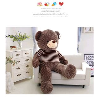 Gấu bông Teddy áo len khổ vải 80cm