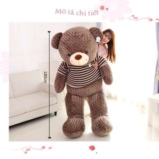 Gấu bông Teddy áo len khổ vải 80cm