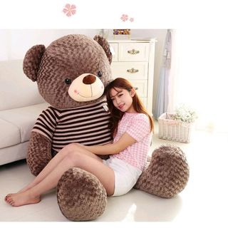 Gấu bông Teddy áo len khổ vải 80cm