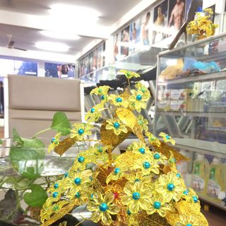 Chậu Hoa Hoàng Kim trưng Tết