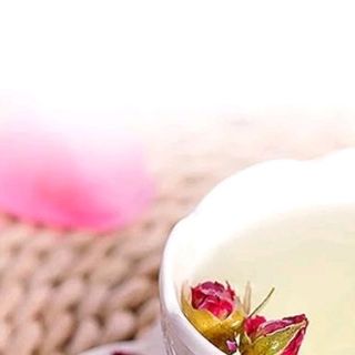 Trà hoa hồng tây tạng