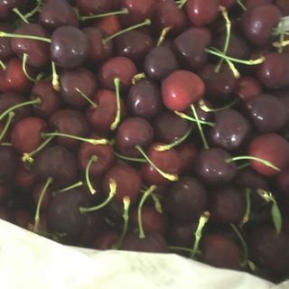 cherry úc
