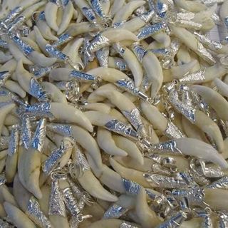 răng nanh sói bọc bạc giá rẻ