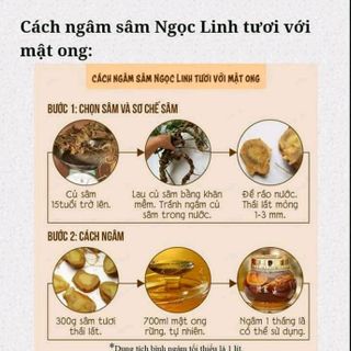 Sâm Ngọc Linh