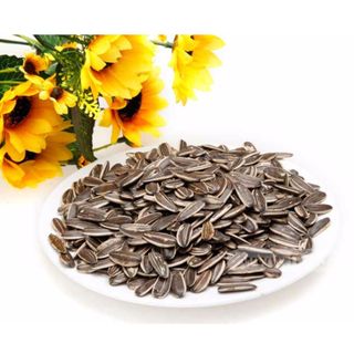 Hạt hướng dương hạt to đều 1KG