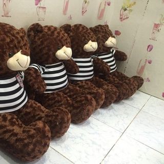 Gấu teddy 1m