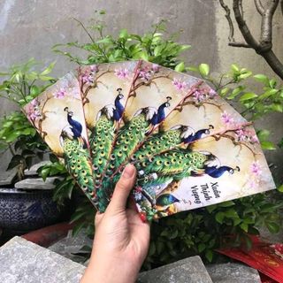 Bao lì xì đẹp ngất ngây giá không đâu tìm thấy