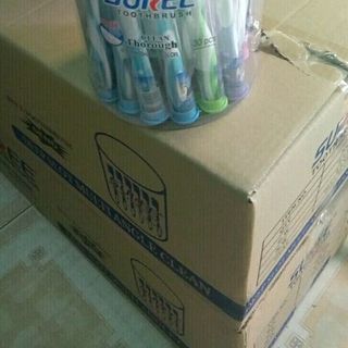 hộp 30 ban chải đánh răng Thái siêu mềm mịn