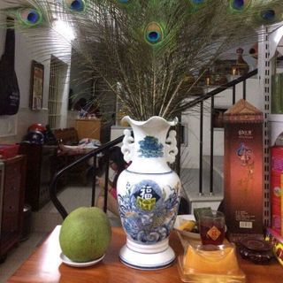 Lông công phong thuỷ giá sỉ​ giá bán buôn