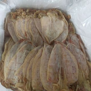 Khô mực