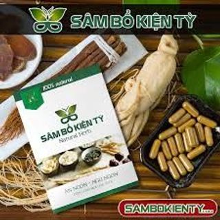 Sâm bổ kiện tỳ