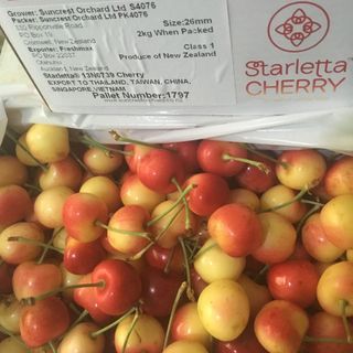 cherry vàng new zealand thùng 2kg rất ngon