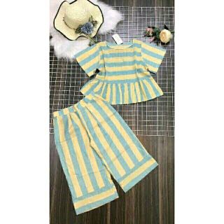 SET BỘ VIỆT NAM
