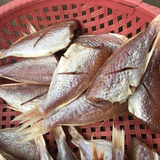 Cá phèn một nắng