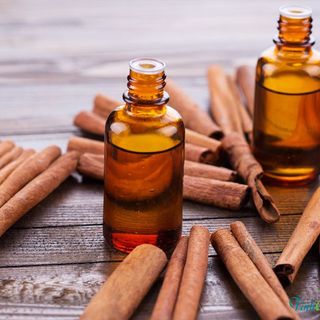 Tinh dầu quế quế bột quế thanh Yên Bái
