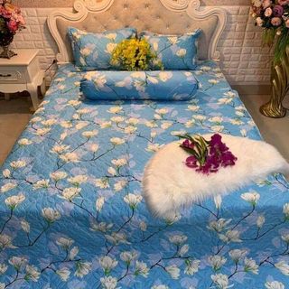 tron bộ Bolt set hè trần phủ