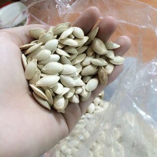 hạt bí sỉ 1 thùng giá sỉ
