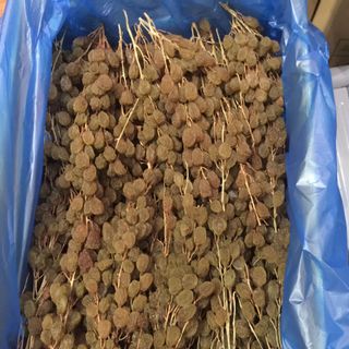 NHO ÚC NGUYÊN CÀNH