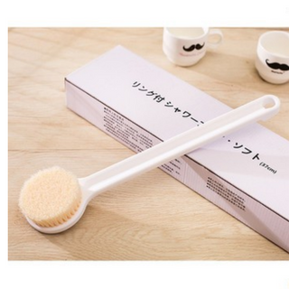 Cây Kỳ Cọ Lưng Nhật Bản