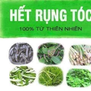 dầu gội bồ kết sả chanh hương bưởi 300ml