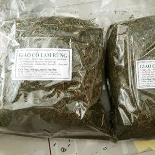 Giảo cổ lam rừng trị mỡ máu