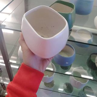 Chậu trồng cây
