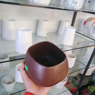 Chậu trồng cây