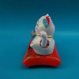 Mèo cặp may mắn