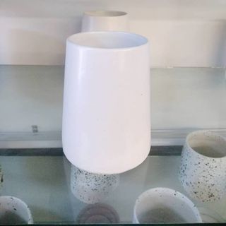 CHậu trồng cây mini