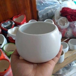 CHậu trồng cây
