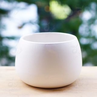 CHậu trồng cây
