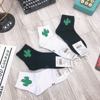 Tất/vớ xương rồng