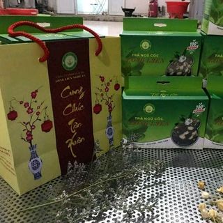 TRÀ NGŨ CỐC THANH NHIỆT GIẢI ĐỘC MÁT GAN 100 TỪ THIÊN NHIÊN