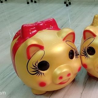 Heo đất size khủng